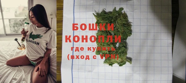 ПСИЛОЦИБИНОВЫЕ ГРИБЫ Белоозёрский