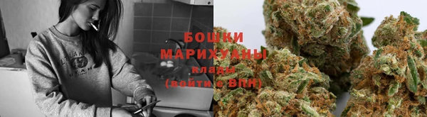 ПСИЛОЦИБИНОВЫЕ ГРИБЫ Белоозёрский