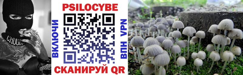 Псилоцибиновые грибы прущие грибы  Купить  Дыгулыбгей 